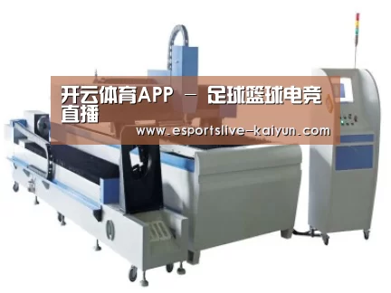 产品名称十一