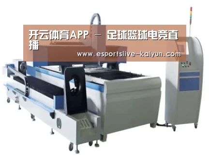 产品名称十三