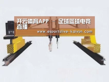 产品名称十八