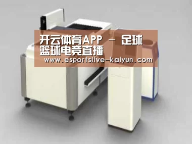 产品名称十五