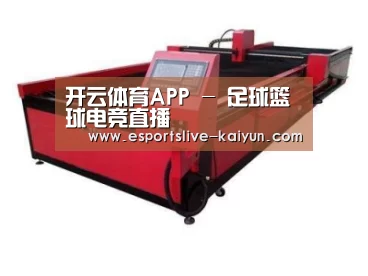 产品名称九