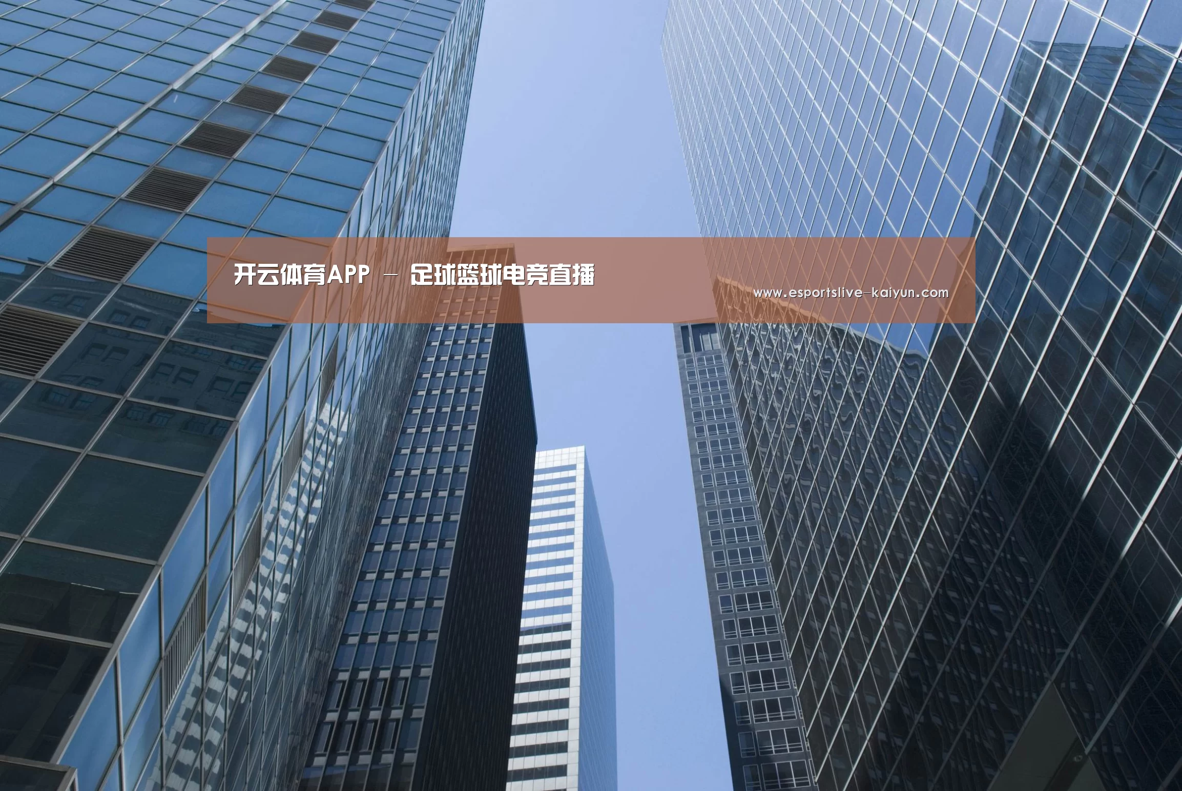 开云电竞公司简介 