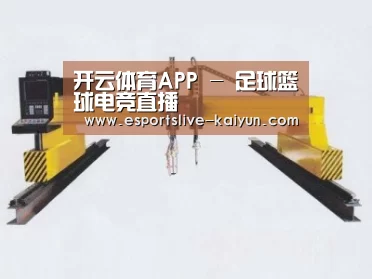 产品名称十九