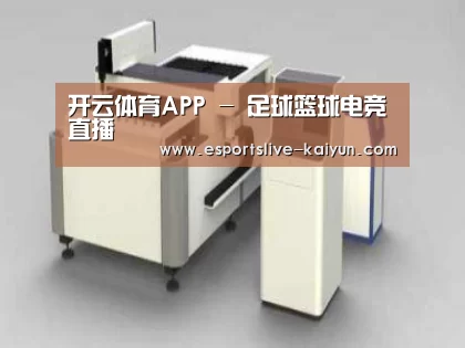 产品名称十三