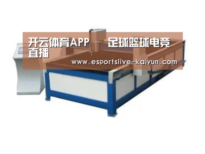 产品名称九