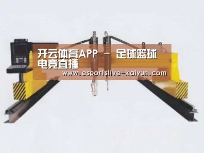 产品名称十七
