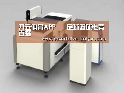 产品名称十五