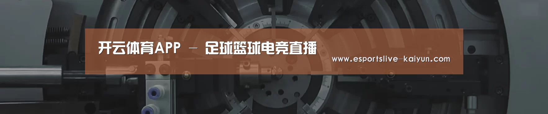 某某机械公司