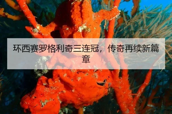 环西赛罗格利奇三连冠，传奇再续新篇章